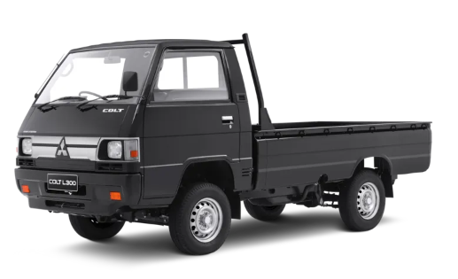 L300